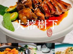 -大榕树下顺德菜(融创茂店)