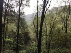 -南山植物园