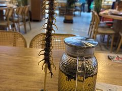 -昆虫窝子·特色云南菜(拓东路总店)