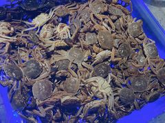 -鼎香缘海鲜自助火锅烤肉(锦辉购物广场店)