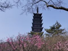 -上海方塔园
