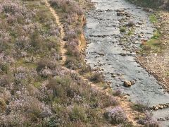 -孔雀湖生态旅游区