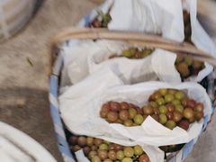 -马陆小张葡萄园农家乐