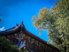 -灵谷景区