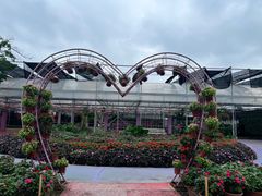 -广东花都香草世界旅游度假区