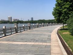 -海珠湖公园