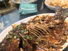 -生态苑农庄(十里画廊遇龙河店)