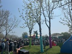 -秦皇岛乐岛海洋王国