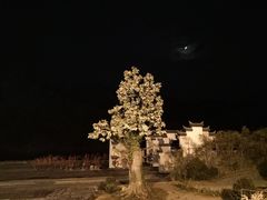 景点-婺源梦里老家大型山水实景演出