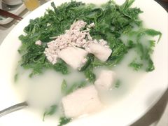 -大鸽饭(动物园店)