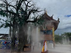 -西双版纳傣族园