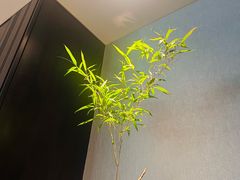 -逸道(益丰·外滩源店)