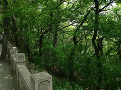 -灵岩山风景区