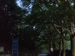 -贵州省植物园