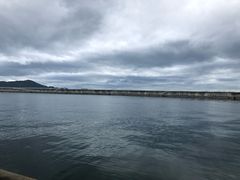 -黑潮市场