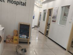 -艾贝尔宠物医院 ·中兽医·宠保定点(北门桥店)