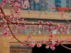 -南长河公园