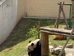 -石家庄市动物园