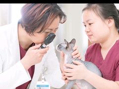 -艾贝尔宠物医院 ·中兽医·宠保定点(北门桥店)