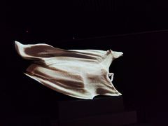 -上海宝龙美术馆