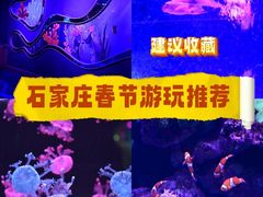 -石家庄极地海洋世界