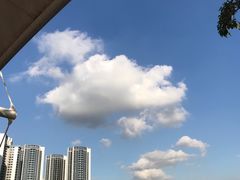 -深圳野生动物园