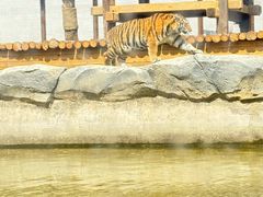 -祥源·阜阳生态乐园