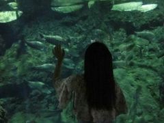 -南昌海洋公园
