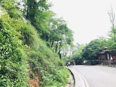 -岳麓山风景名胜区