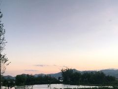 -五甲塘生态湿地公园