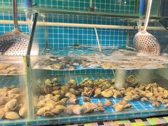 -渔家火锅·海鲜自助餐·演艺(亚龙湾天域酒店)