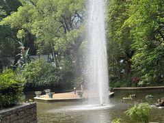 -九龙公园