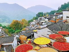 -婺源风景区