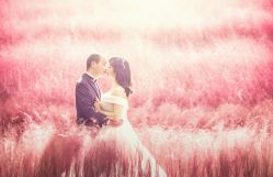 -韩国艺匠ARTIZ STUDIO(博览中心店)