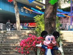 -顺德大良半月城游乐场