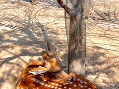 -水上乐园·欢乐世界