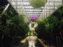 -大理N度酒店