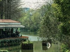 -新江湾城公园