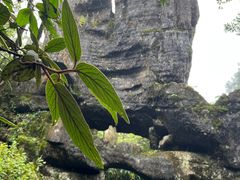 -山王坪喀斯特国家生态公园