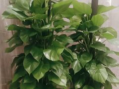 -苏州人家·精致苏帮菜(斜塘店)