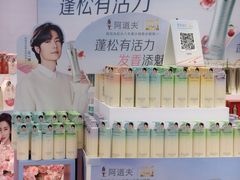 -海心沙亚运公园