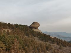 -磬锤峰森林公园