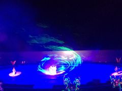 -鼎盛王朝康熙大典实景演出