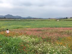 -光明小镇欢乐田园