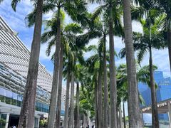 -RISE RESTAURANT(滨海湾金沙店)