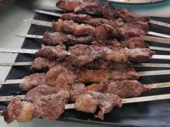 烤羊肉串-撒拉花儿·新疆菜·清真(太阳宫店)