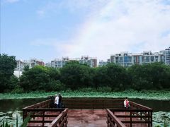 -新江湾城公园