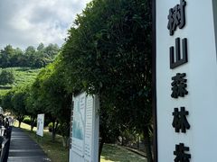 -树山生态村