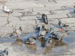 -槟城观音庙(Goddess of Mercy)