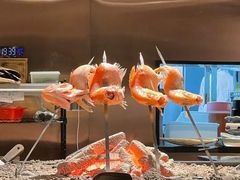 -鸟山鸣·日料食堂(王府井店)